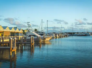 Close-up photo of a marina with a few boats docked in the calm waters.