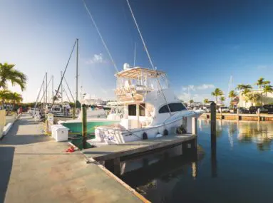 a couple boats docked with palm trees
