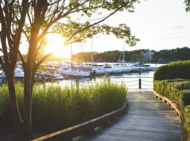 walkway lined with manicured bushes with boats docked on water in the background