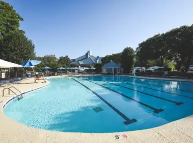 pool surrounded by trees on sunny day