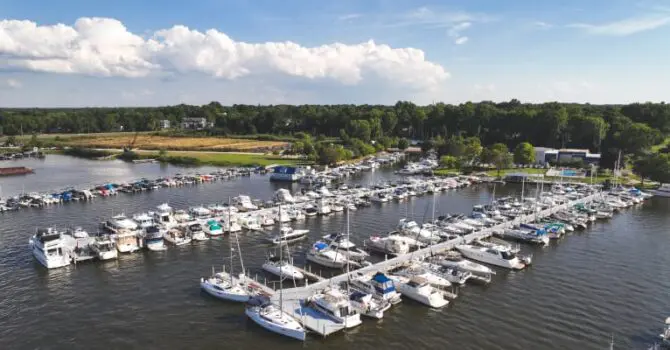 safe harbor tower marine boats docked