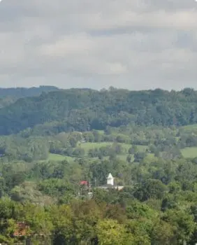 green rolling hills with trees