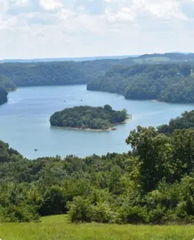 view of lake with green trees