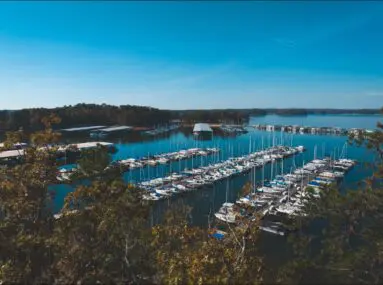 aerial view of marina