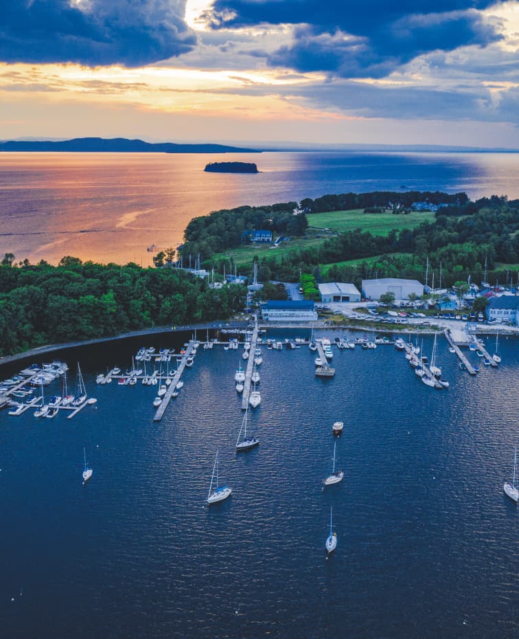 Sailboats in marina at sunset