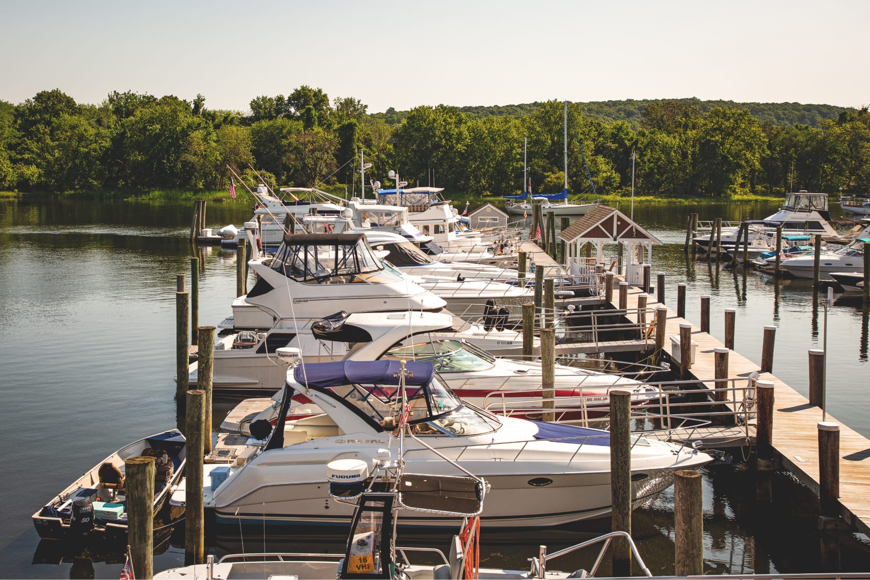 marina with many boats
