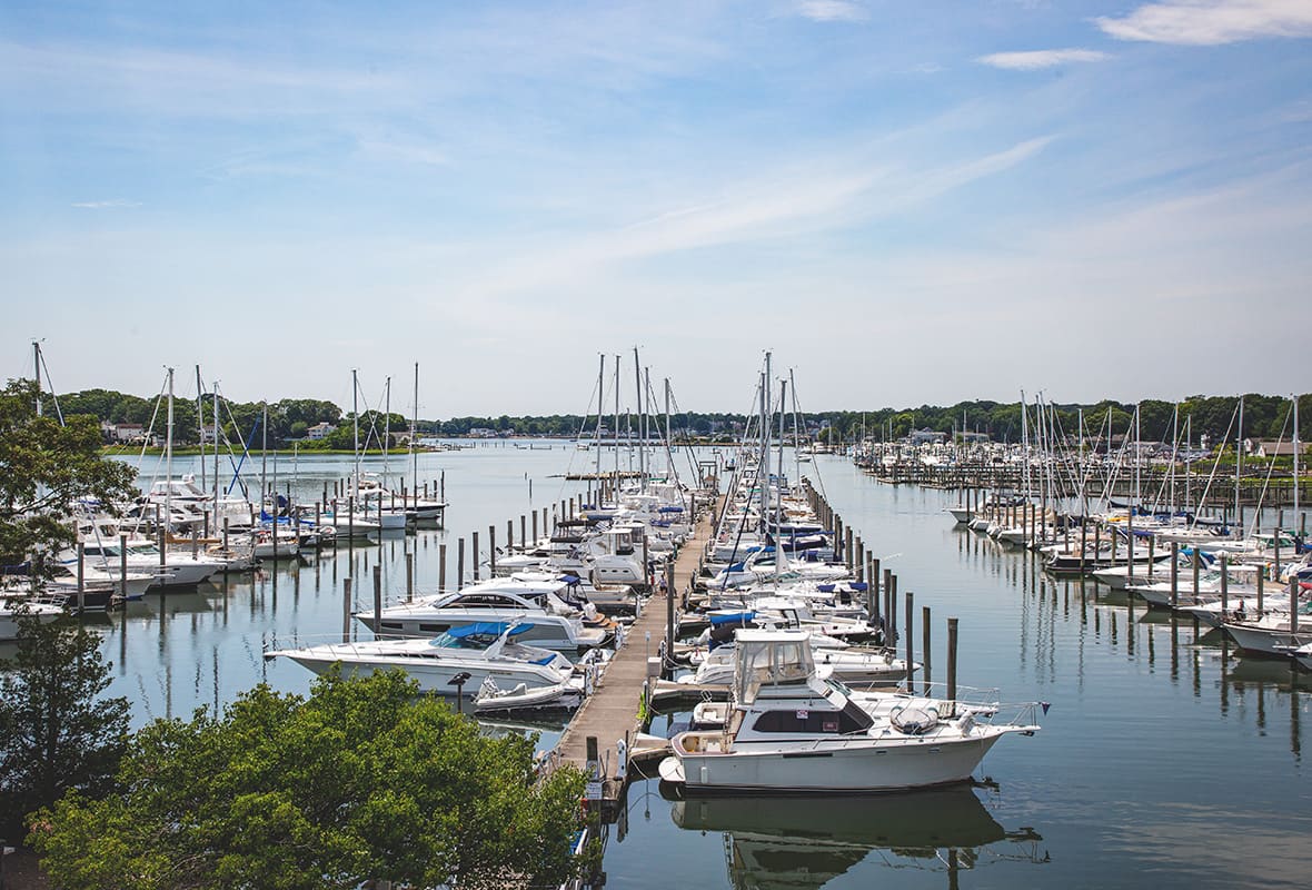 Boats docked at marina