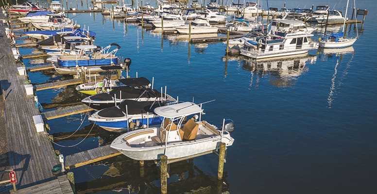 Boats docked at marina