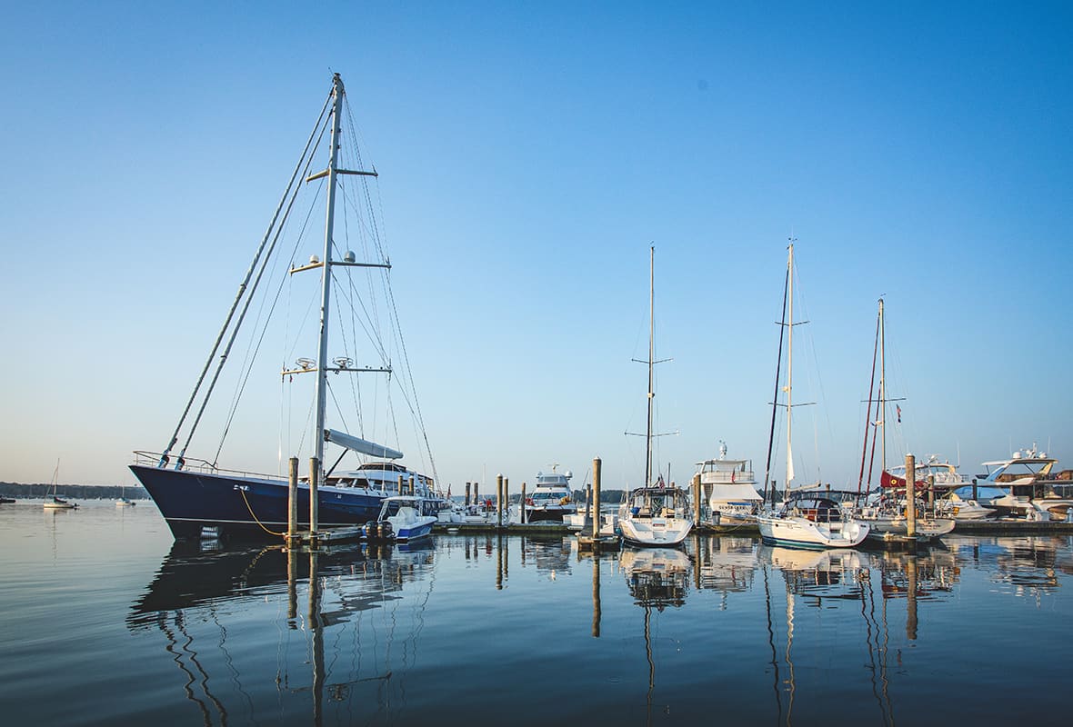 Boats docked at marina