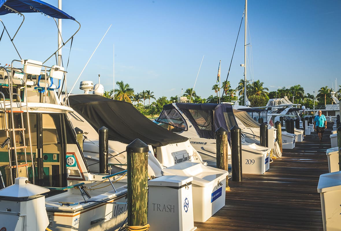 Boats docked at marina