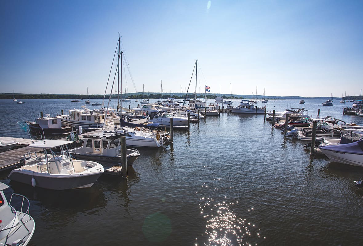 Aerial view of boats