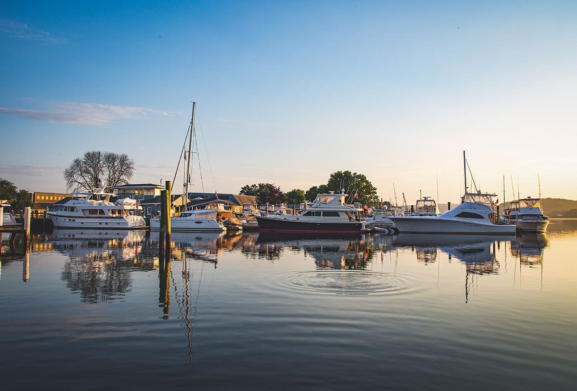 Boats docked at marina