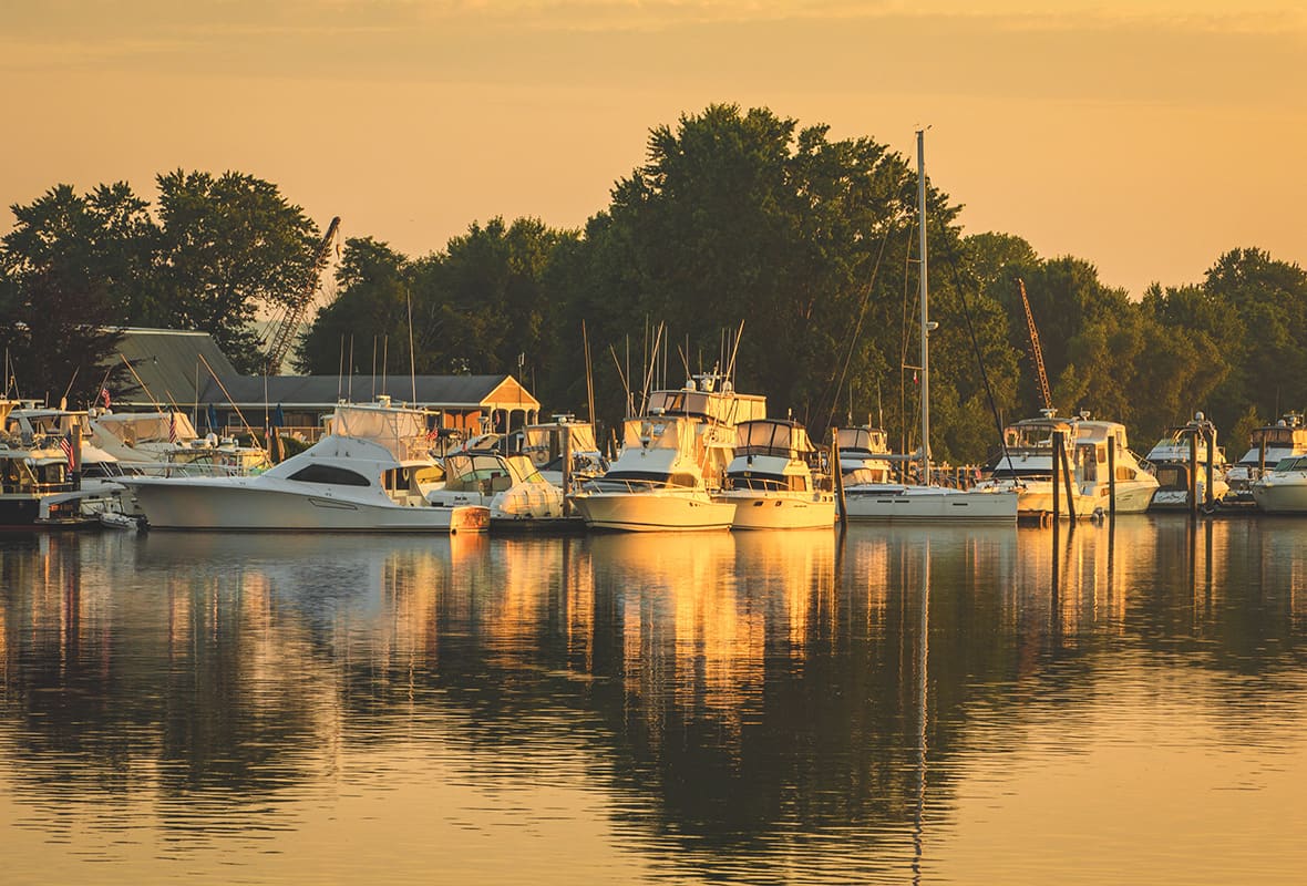 Boats docked at marina