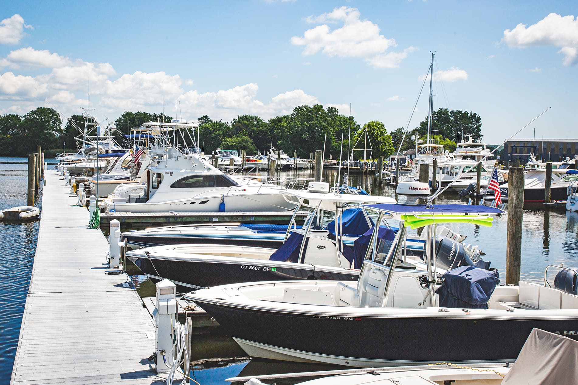 Boats docked at marina