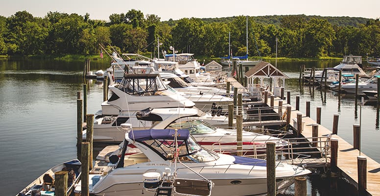 Boats docked at marina