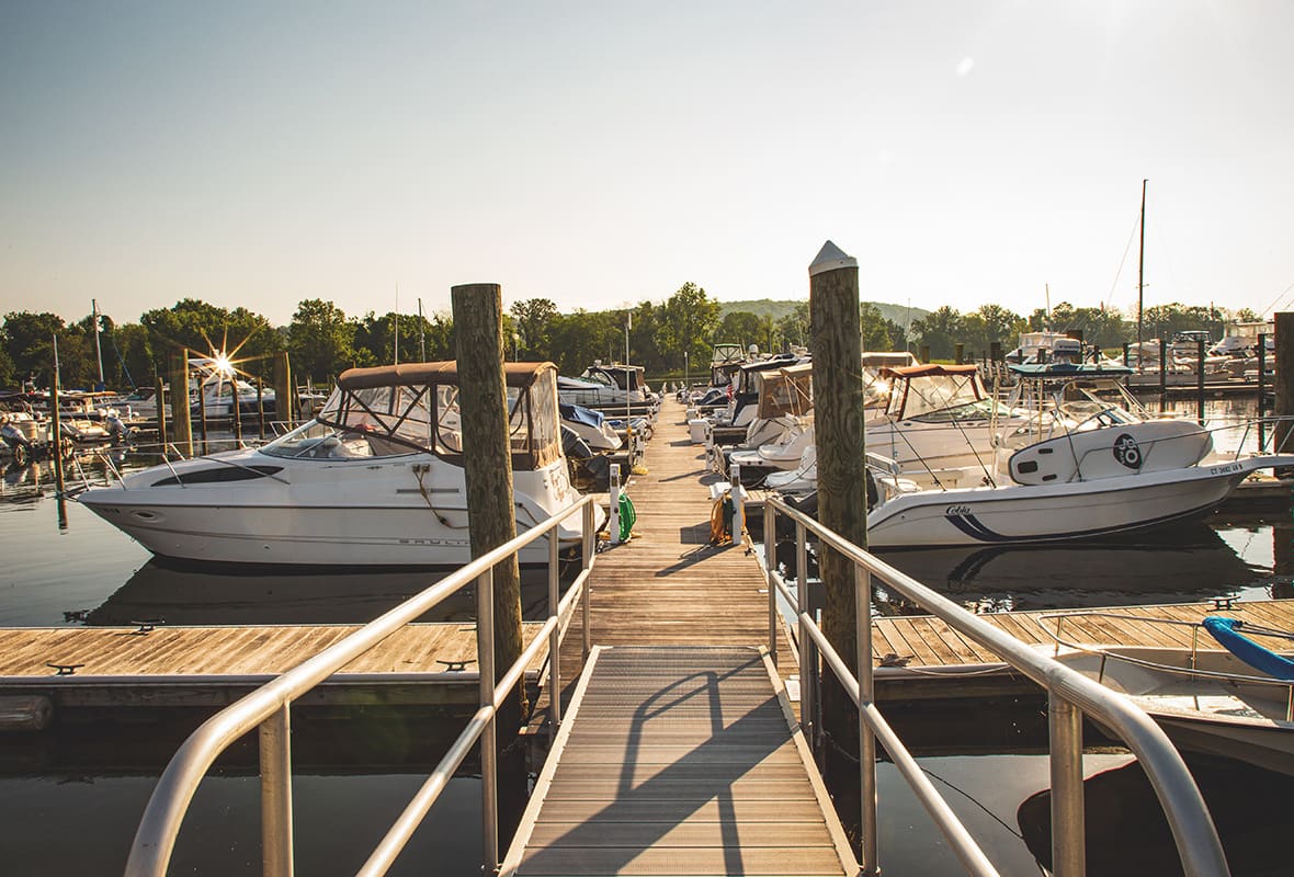 Boats docked at marina