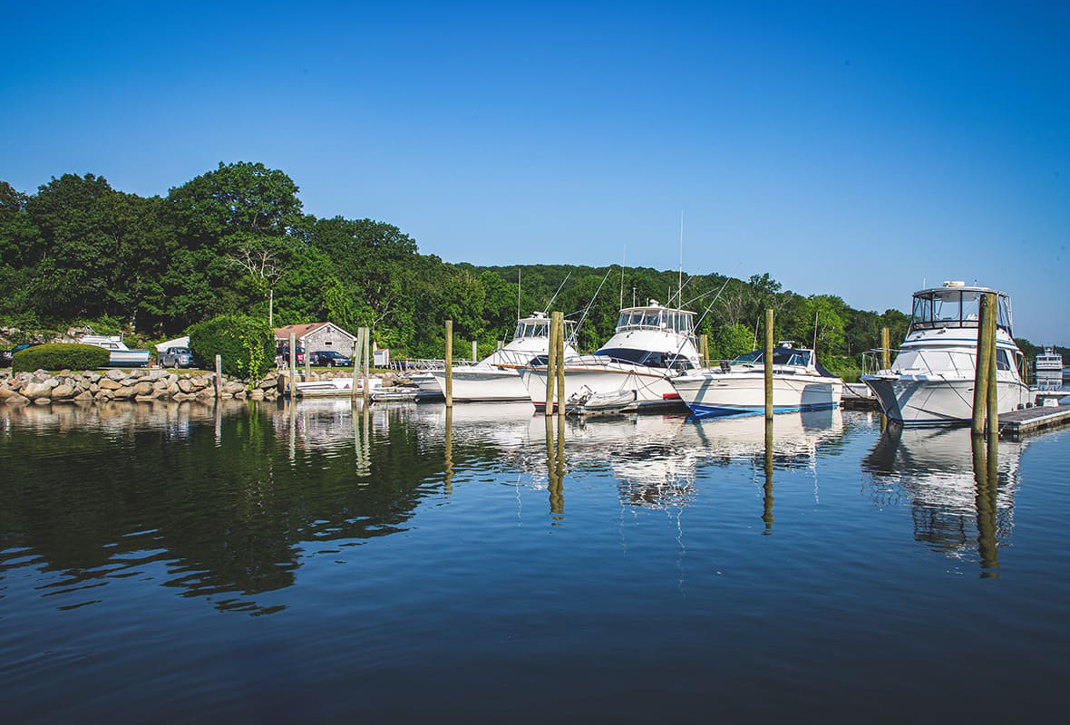 Boats docked at marina