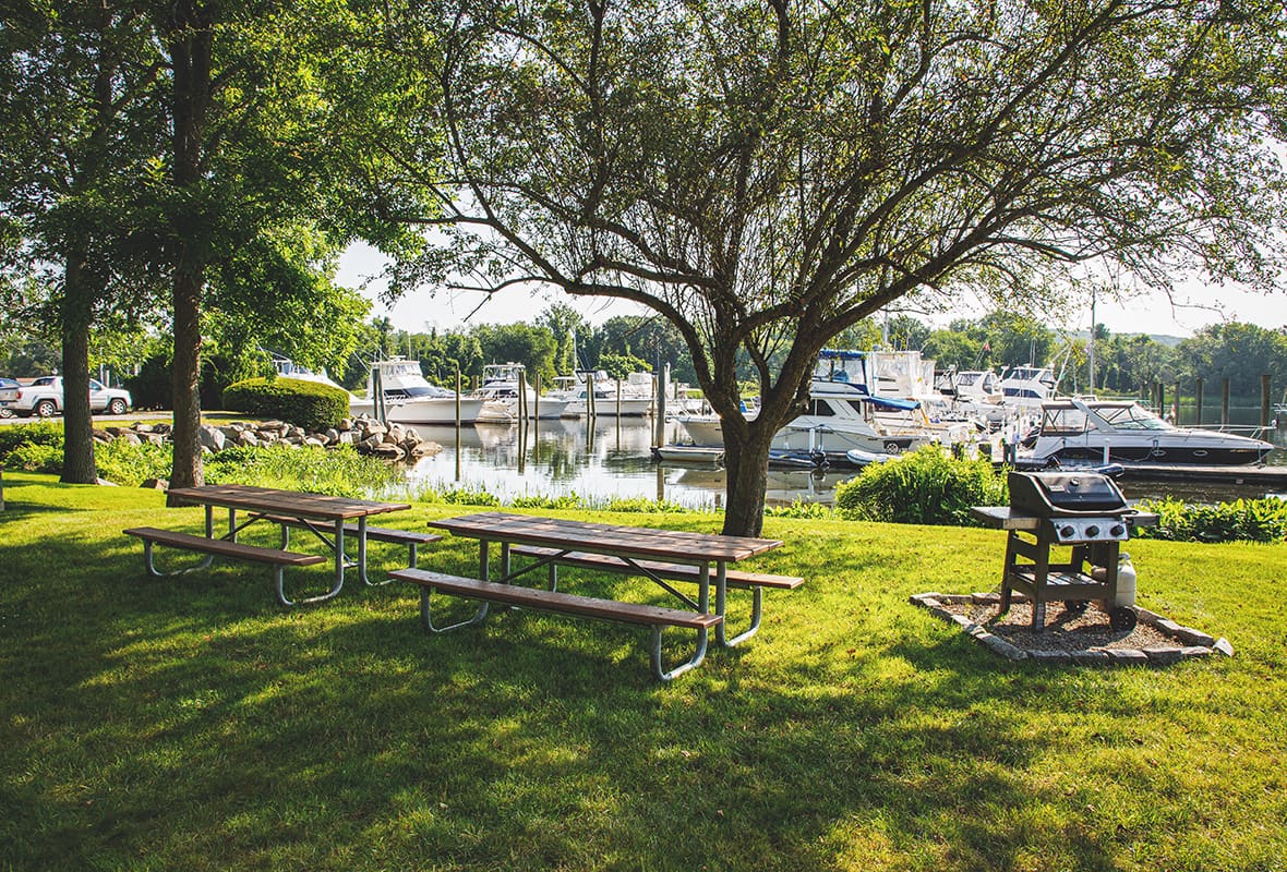 Picnic tables and grill