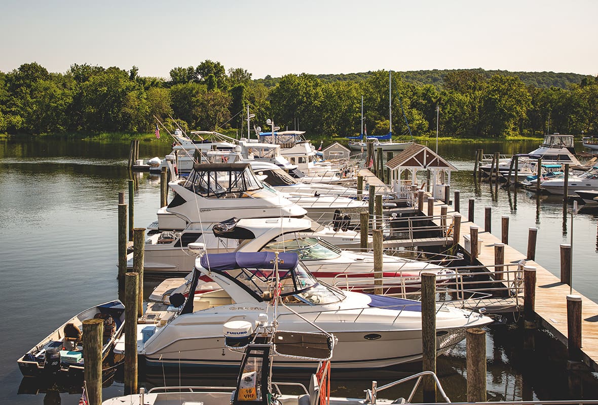 Boats docked at marina