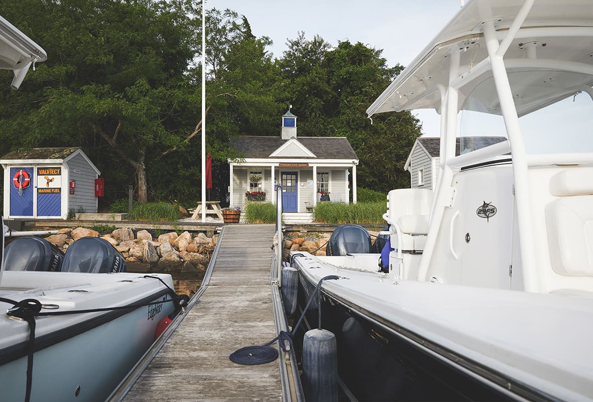 Boats docked at marina