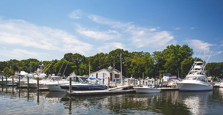 Boats docked at marina