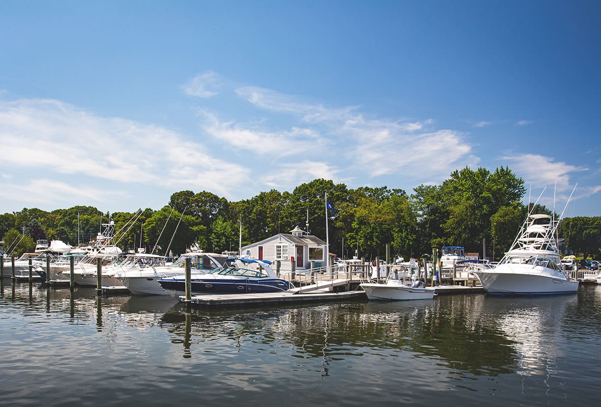 Boats docked at marina