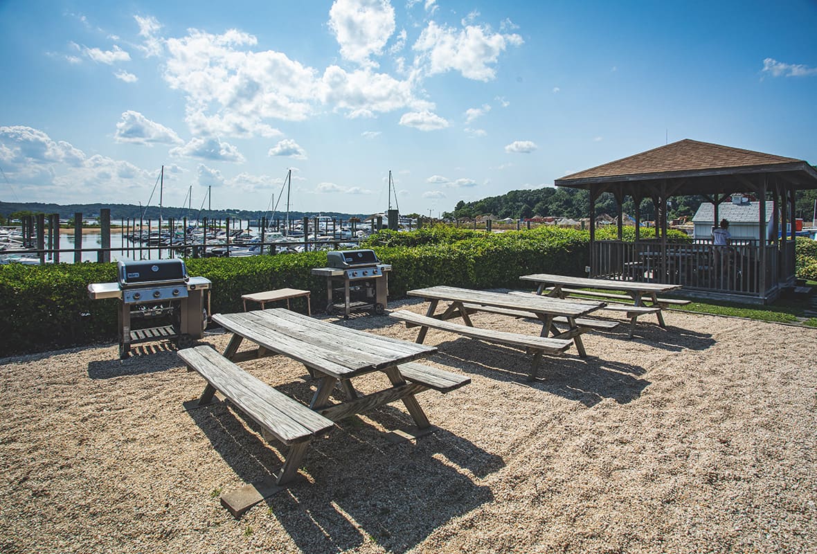 Picnic and grill area