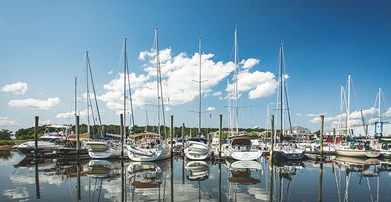 Boats docked at marina