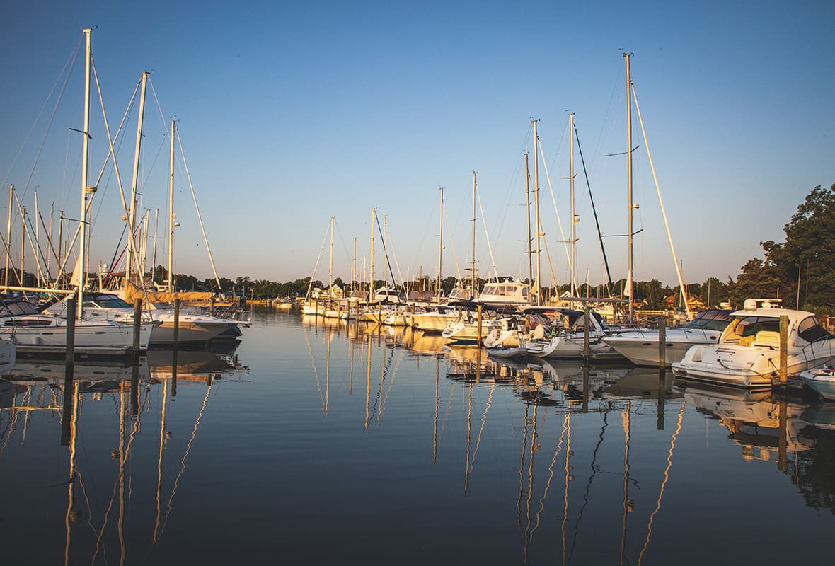 Boats docked at marina