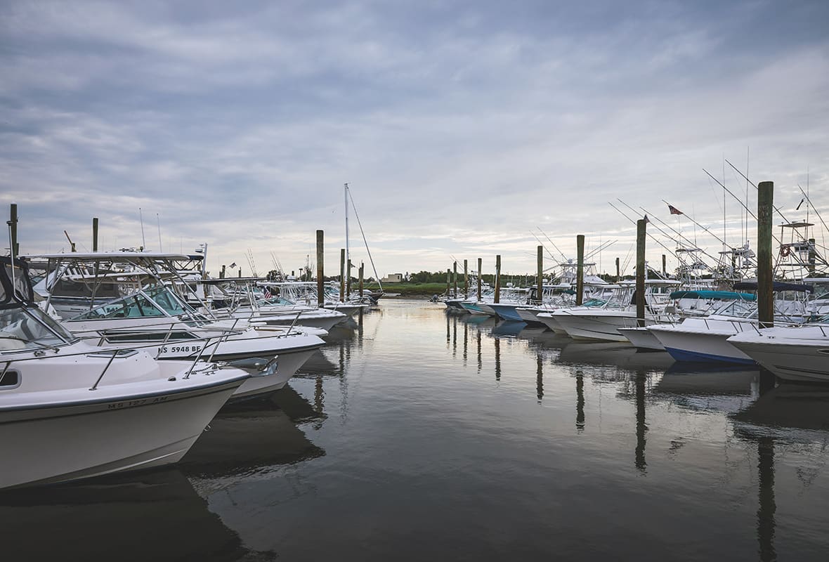 Boats docked at marina