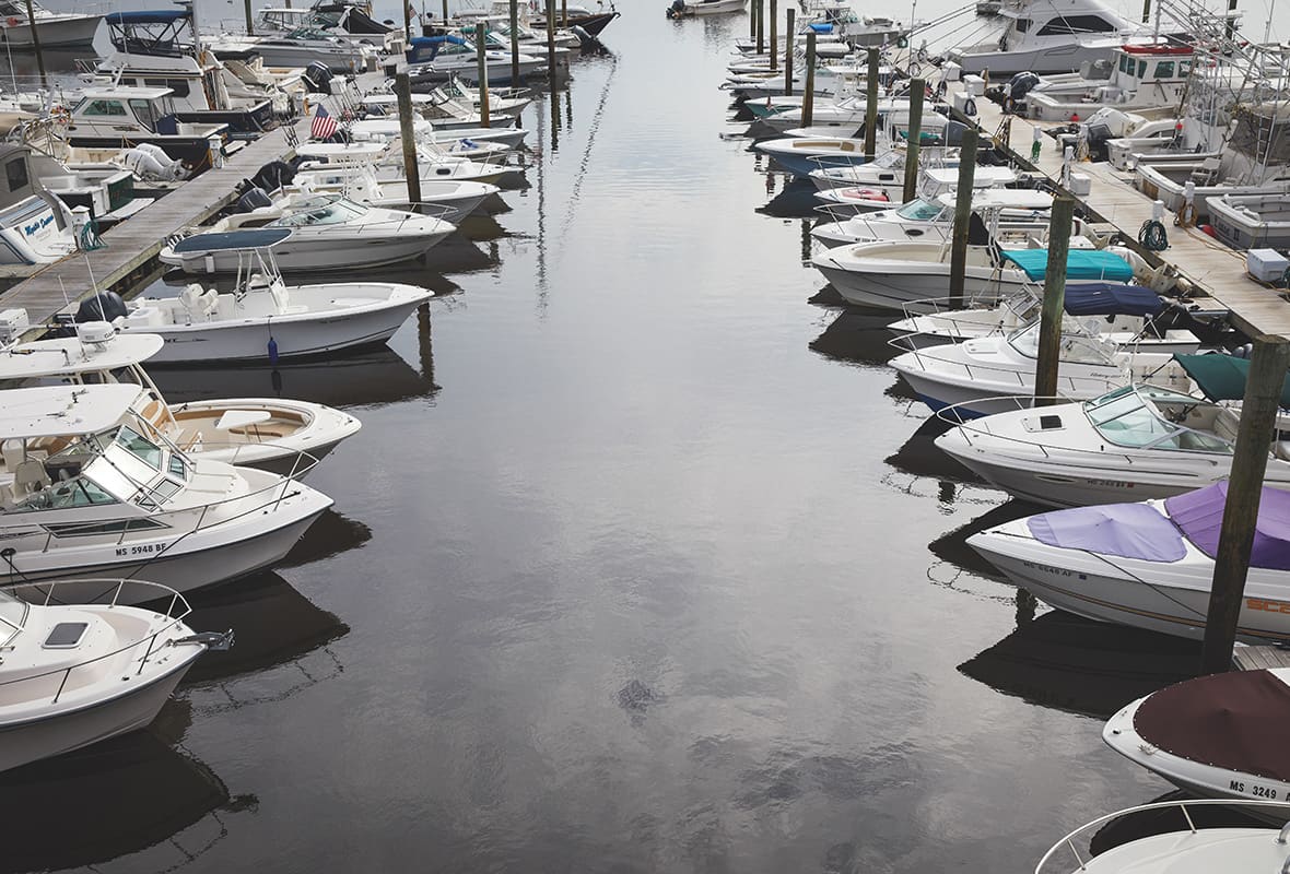Boats docked at marina