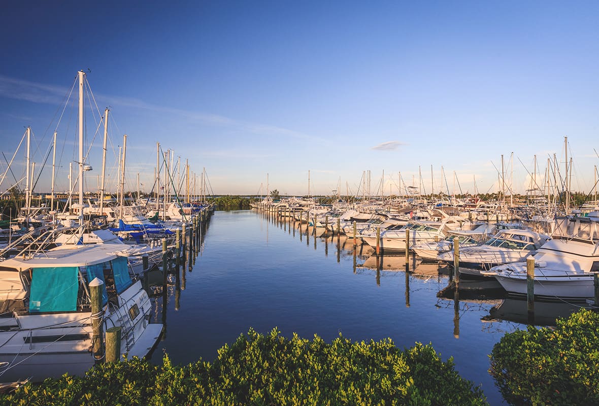 Boats docked at marina