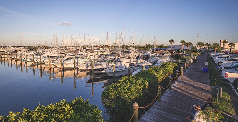 Boats docked at marina