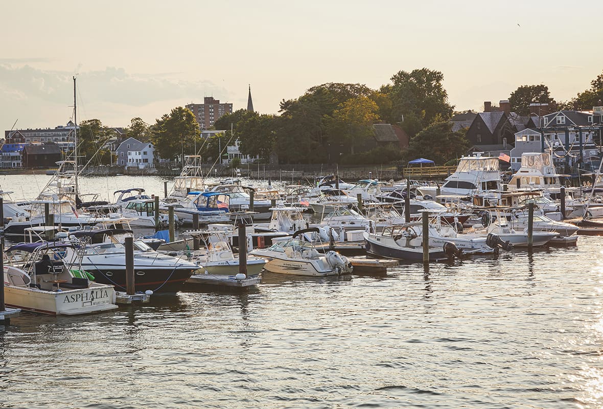 Boats docked at marina