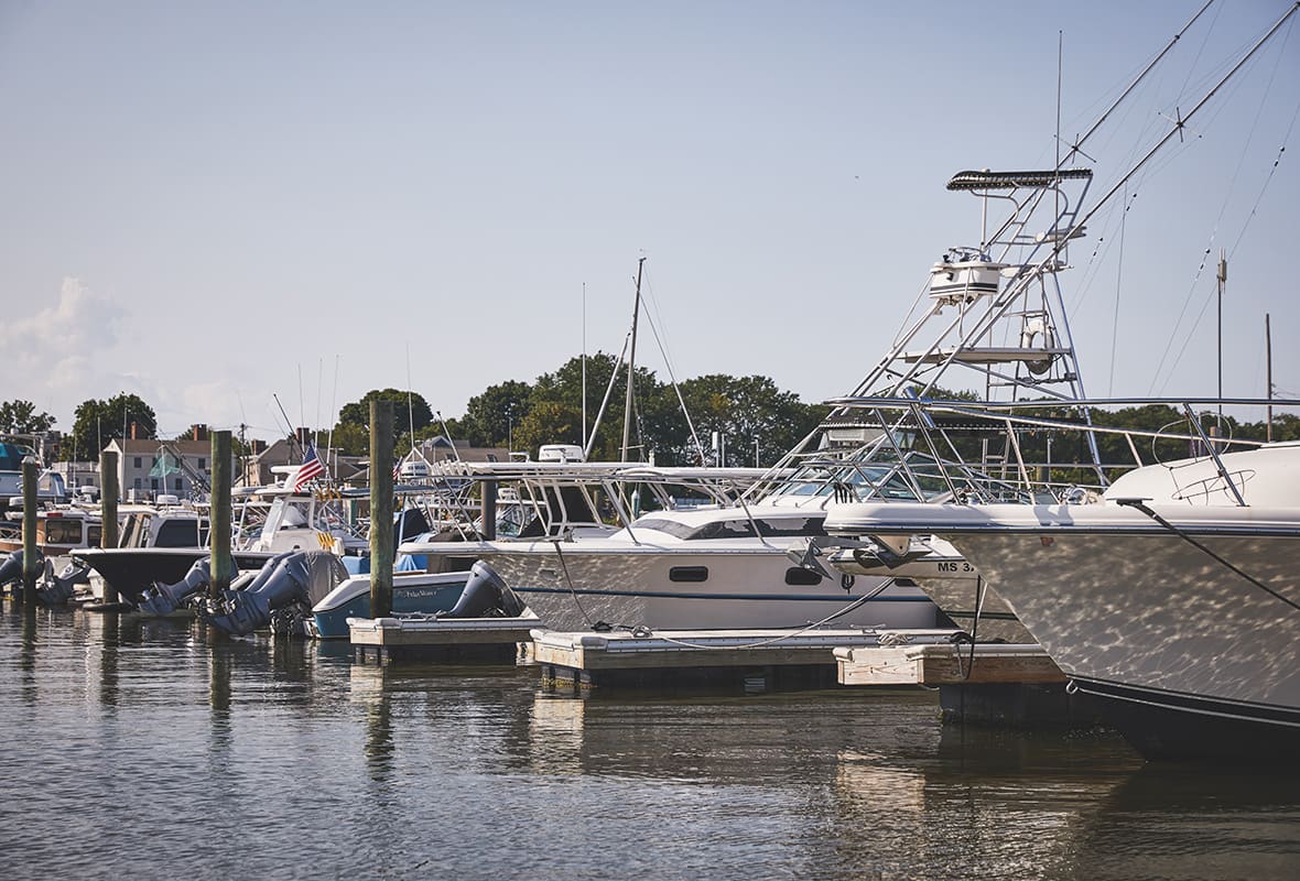Boats docked at marina