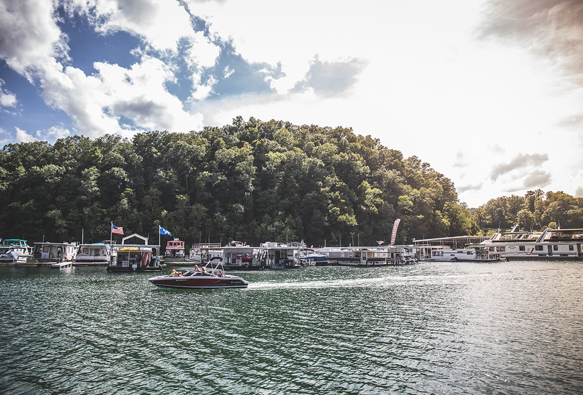 Boats docked at marina