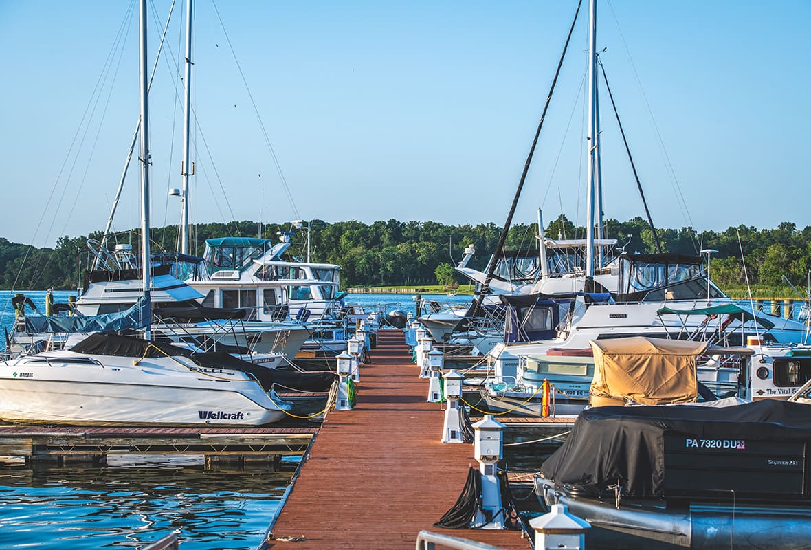 Boats docked at marina