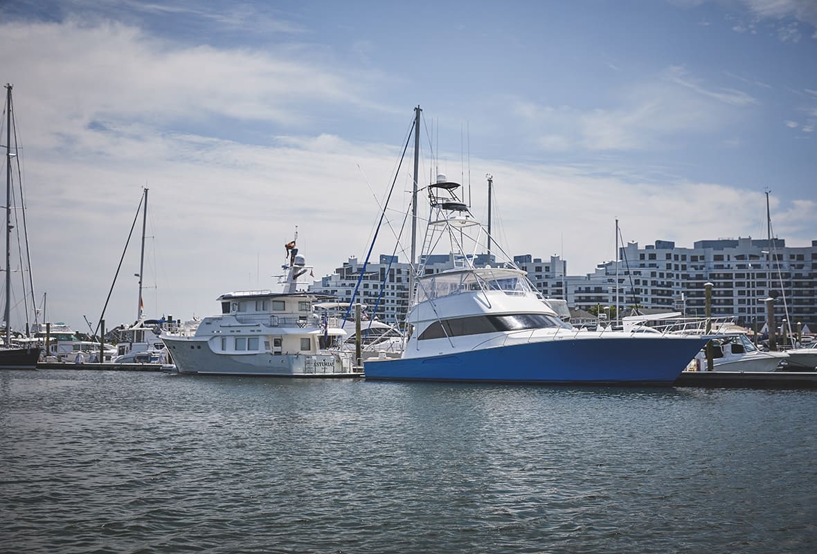Boats docked at marina