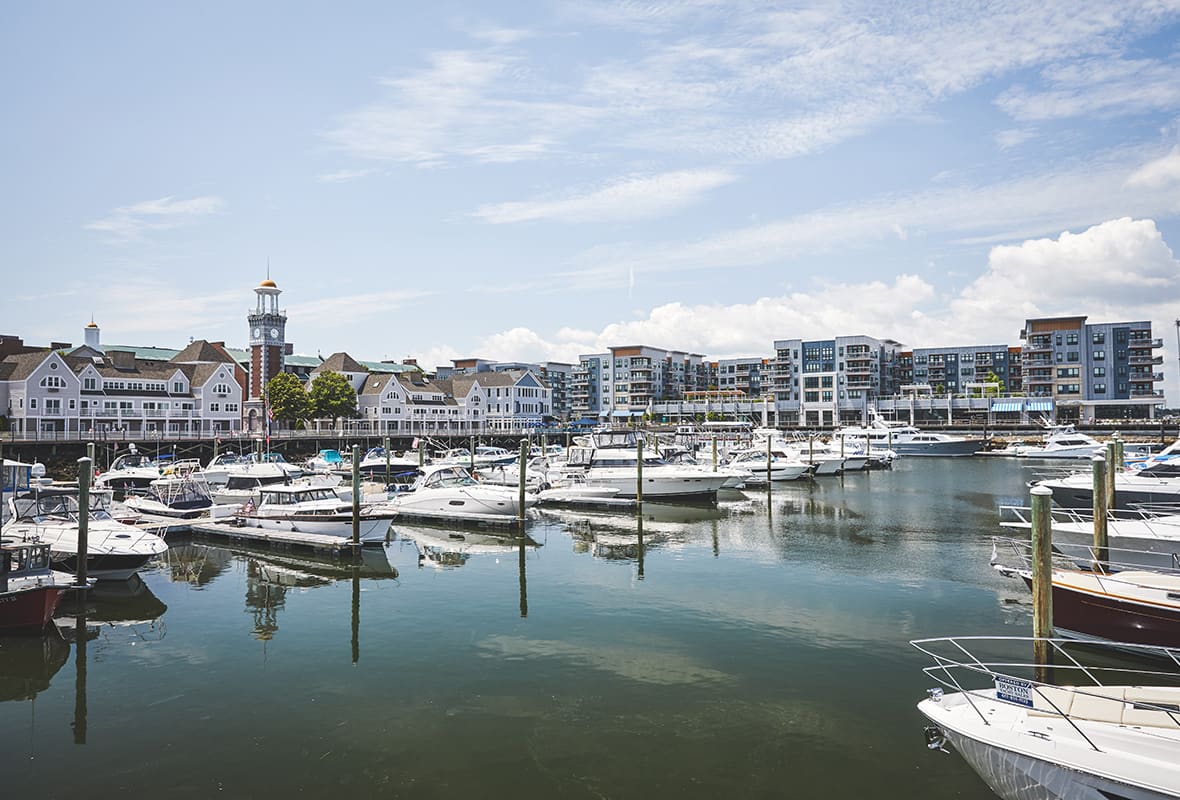 Boats docked at marina