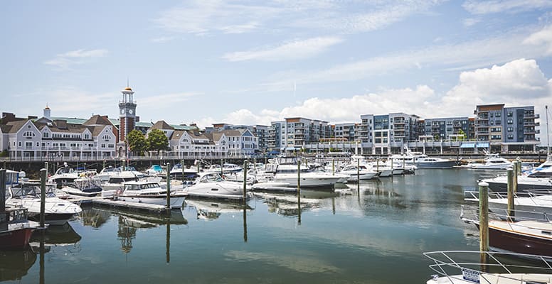 Boats docked at marina
