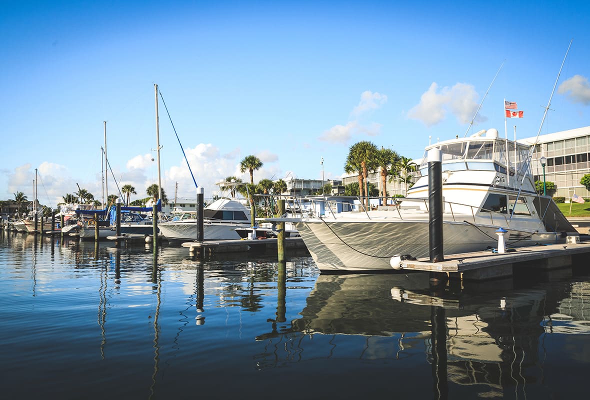 Boats docked at marina