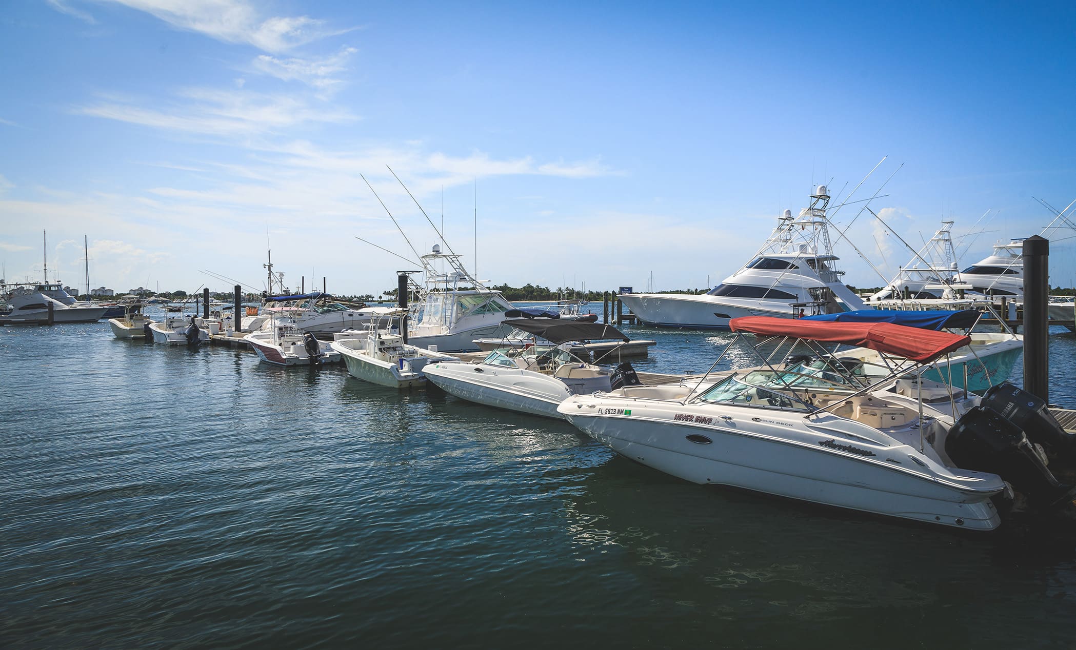 Boats docked at marina