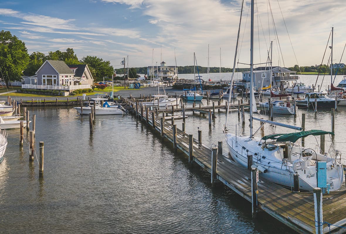 Boats docked at marina