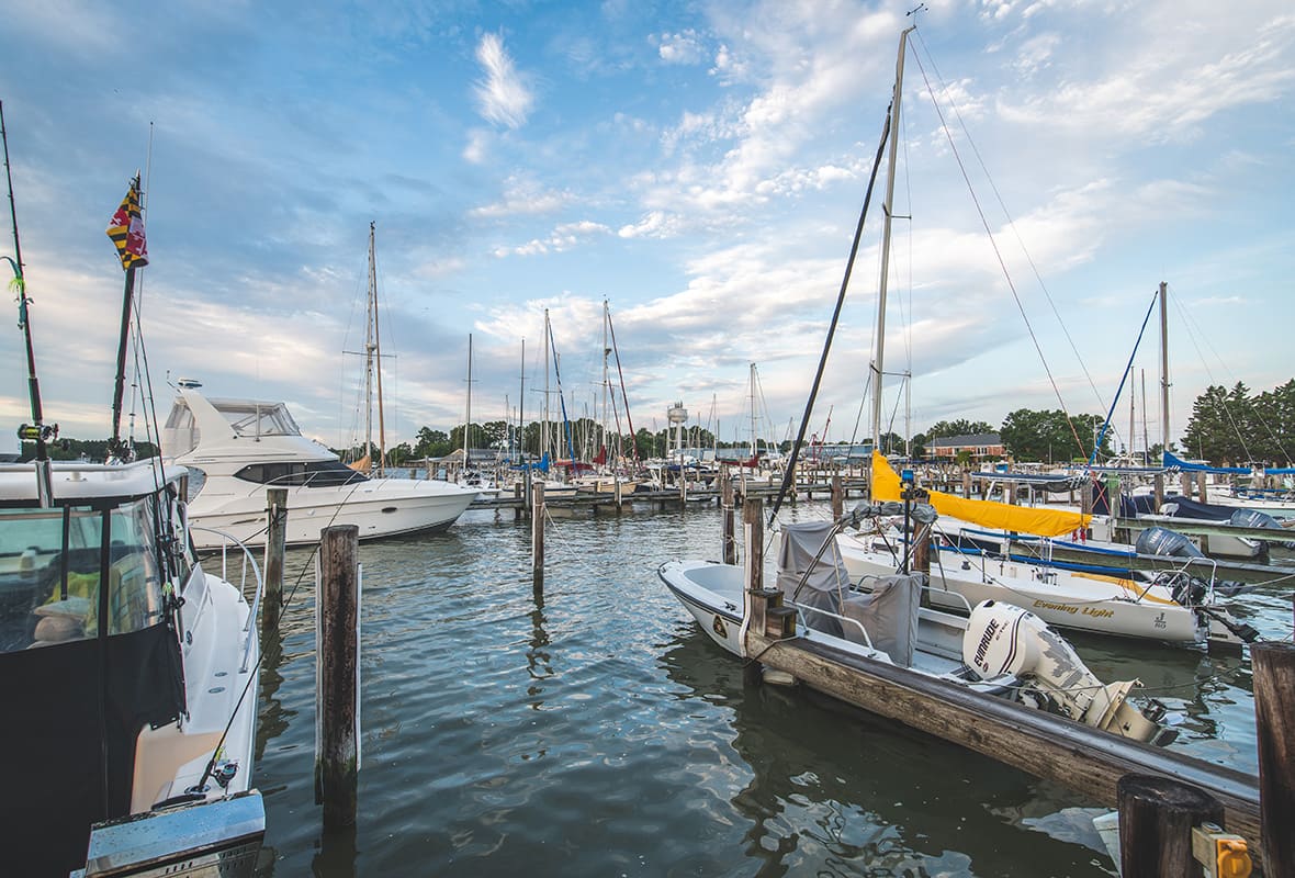 Boats docked at marina