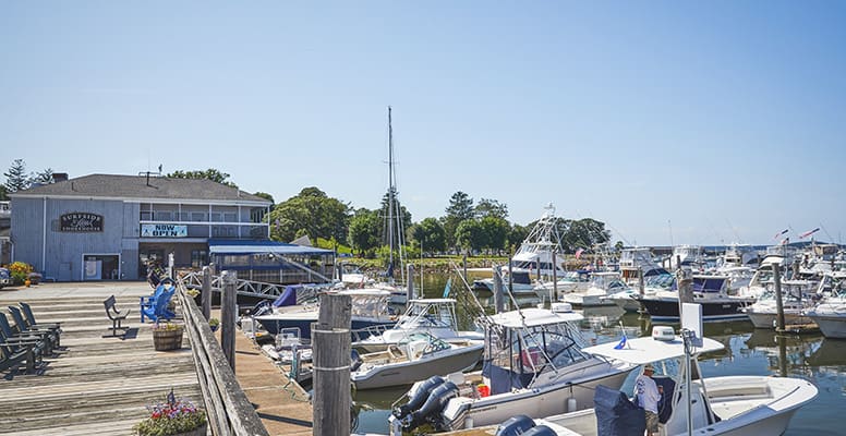 Boats docked at marina