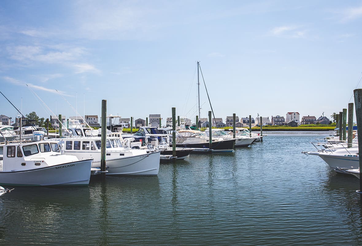 Boats docked at marina