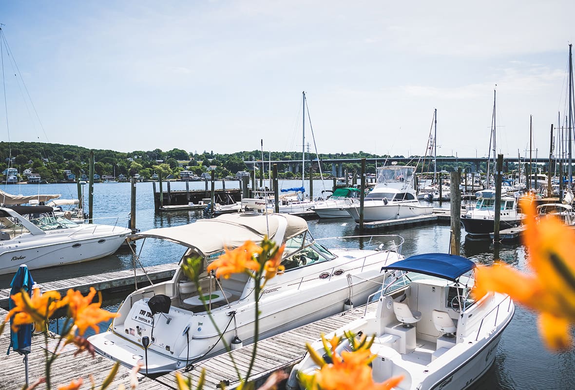 Boats docked at marina