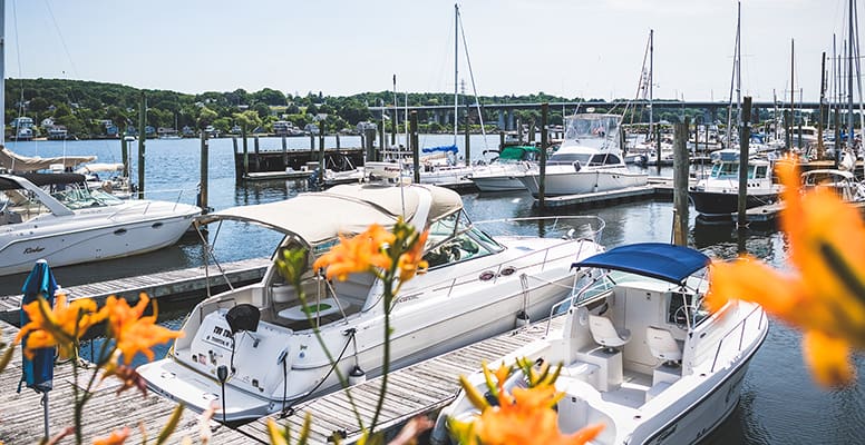 Boats docked at marina