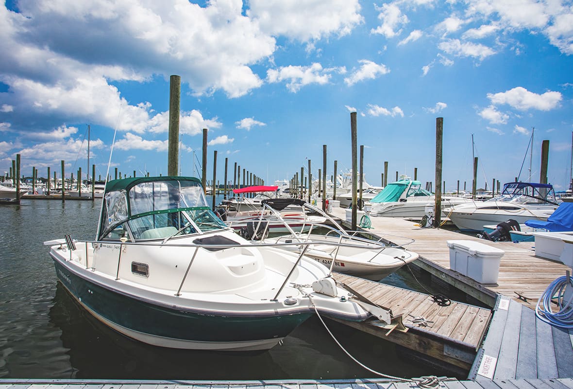 Boats docked at marina