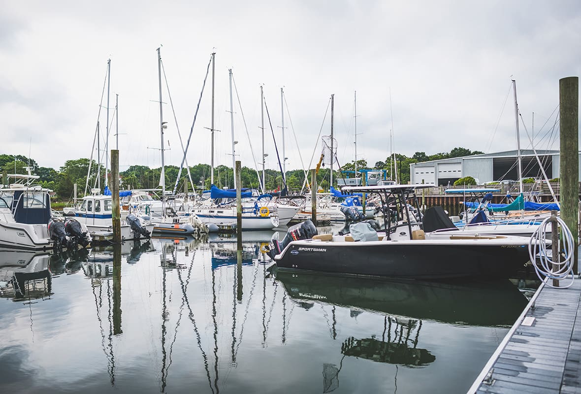 Boats docked at marina